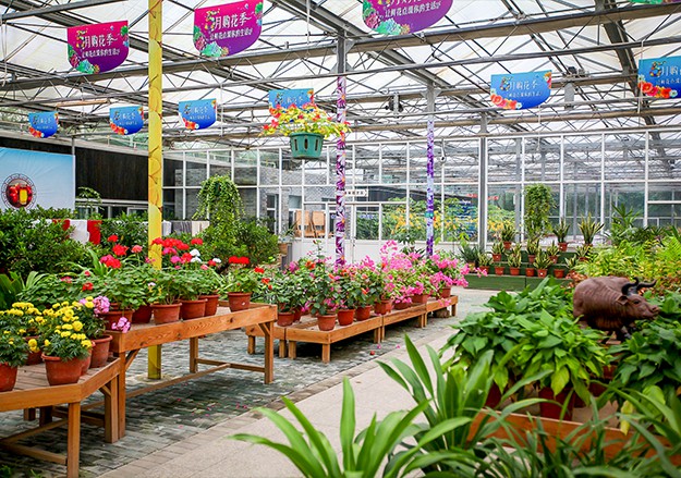 精品花卉展销区.jpg 精品花卉展销区.jpg