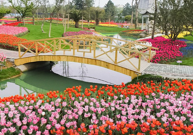 药用植物大景.jpg 药用植物大景.jpg