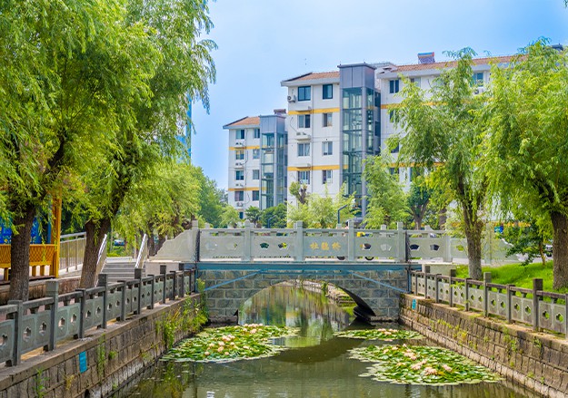 村容村貌.jpg 村容村貌.jpg