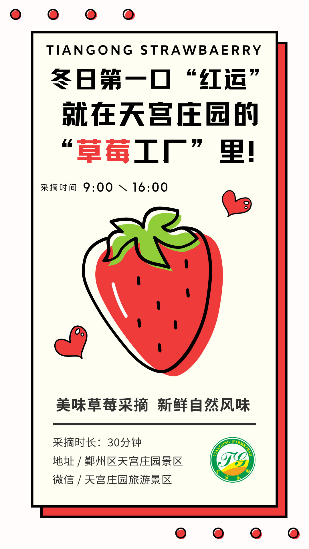 来天宫庄园，采摘“冬天的第一颗草莓”！