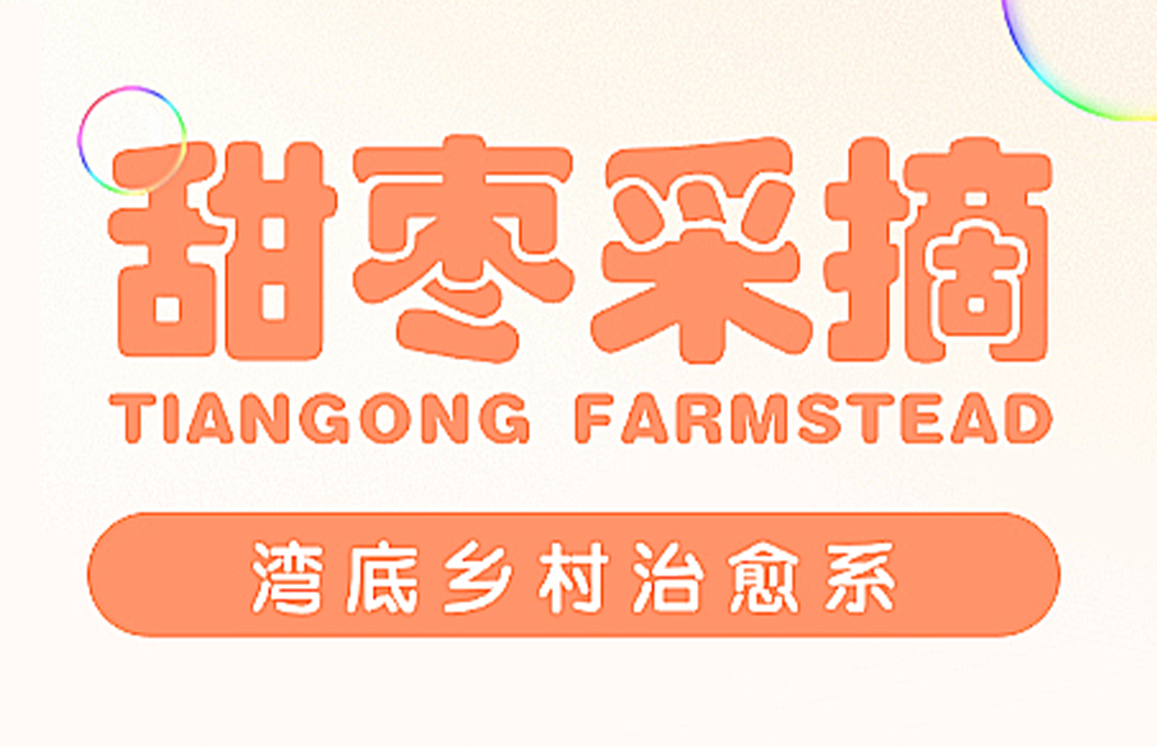 湾底乡村治愈系II 秋日摘甜枣，开启甜蜜丰收之门
